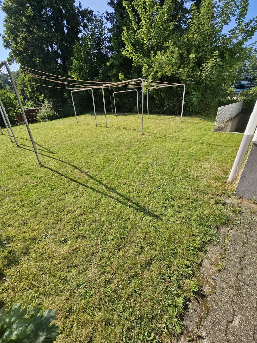 Teil vom Gemeinschaftsgarten